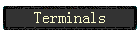 Terminals